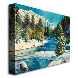David Lloyd Glover 'Colorado Pines ' Canvas Art 18 X 24