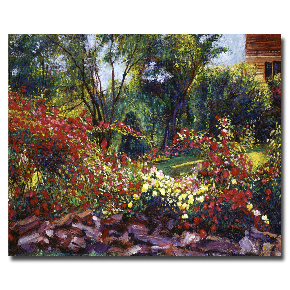 David Lloyd Glover 'Evening Roses' Canvas Art 18 X 24