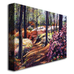David Lloyd Glover 'Azalea Forest' Canvas Art 18 X 24