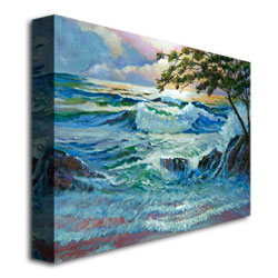 David Lloyd Glover 'Matsushima Coast' Canvas Art 18 X 24