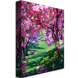 David Lloyd Glover 'Sakura Romance' Canvas Art 18 X 24