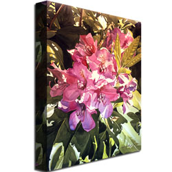 David Lloyd Glover 'Royal Rhododendrons' Canvas Art 18 X 24