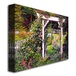David Lloyd Glover 'Botanical Paradise' Canvas Art 18 X 24
