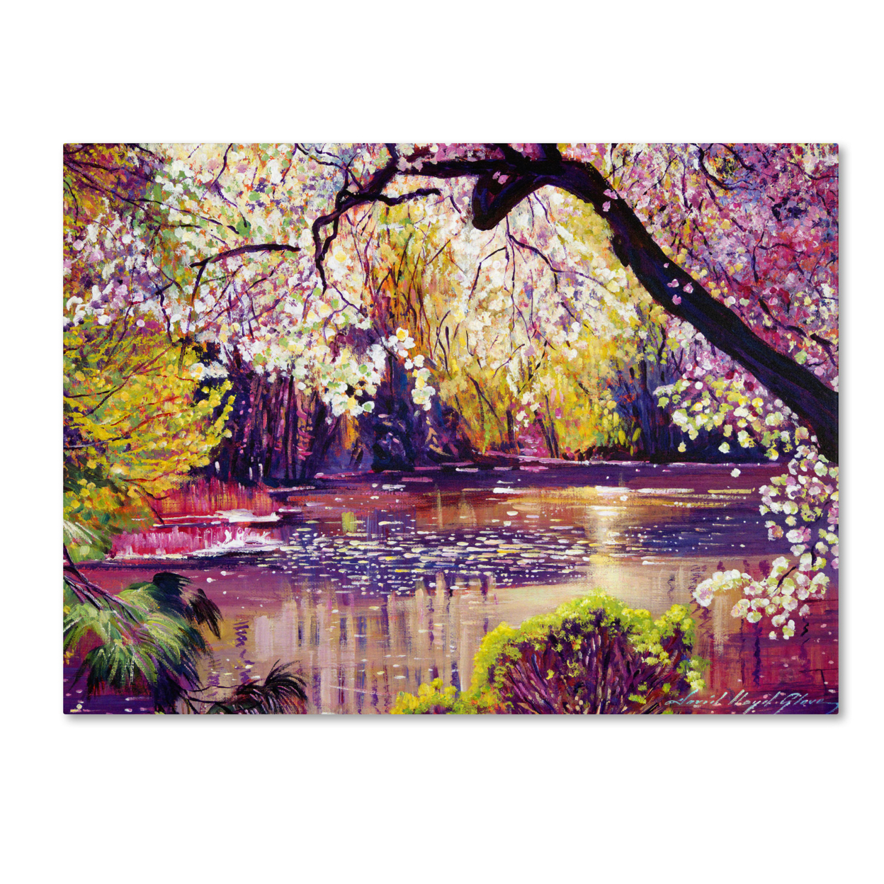 David Lloyd Glover 'Central Park Spring Pond' Canvas Art 18 X 24