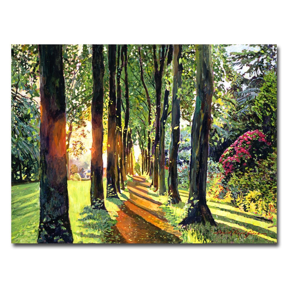 David Lloyd Glover 'Forest Of Enchantment' Canvas Art 18 X 24