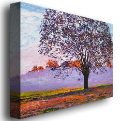 David Lloyd Glover 'Majestic Tree In Morning Mist' Canvas Art 18 X 24
