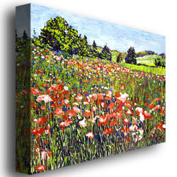 David Lloyd Glover 'Poppy Fields Of France' Canvas Art 18 X 24