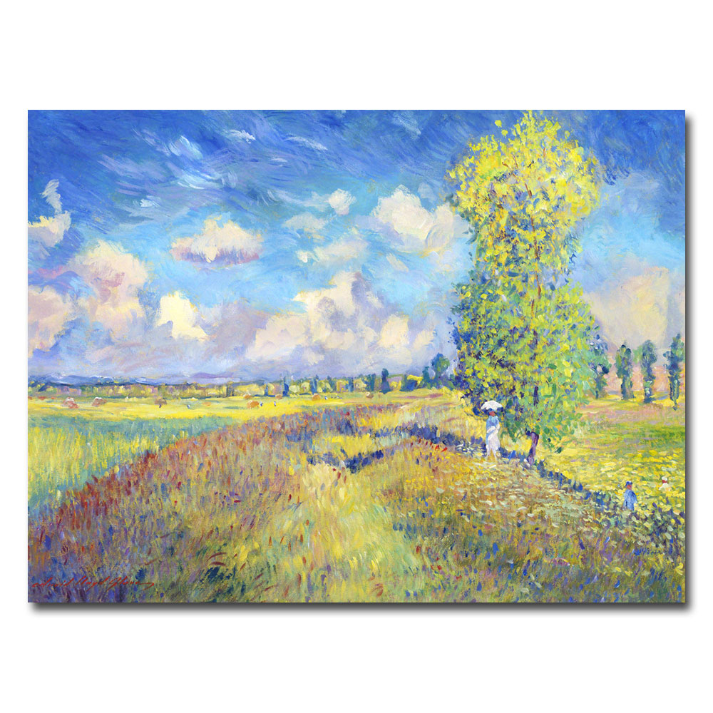 David Lloyd Glover 'Summer Field Of Poppies' Canvas Art 18 X 24