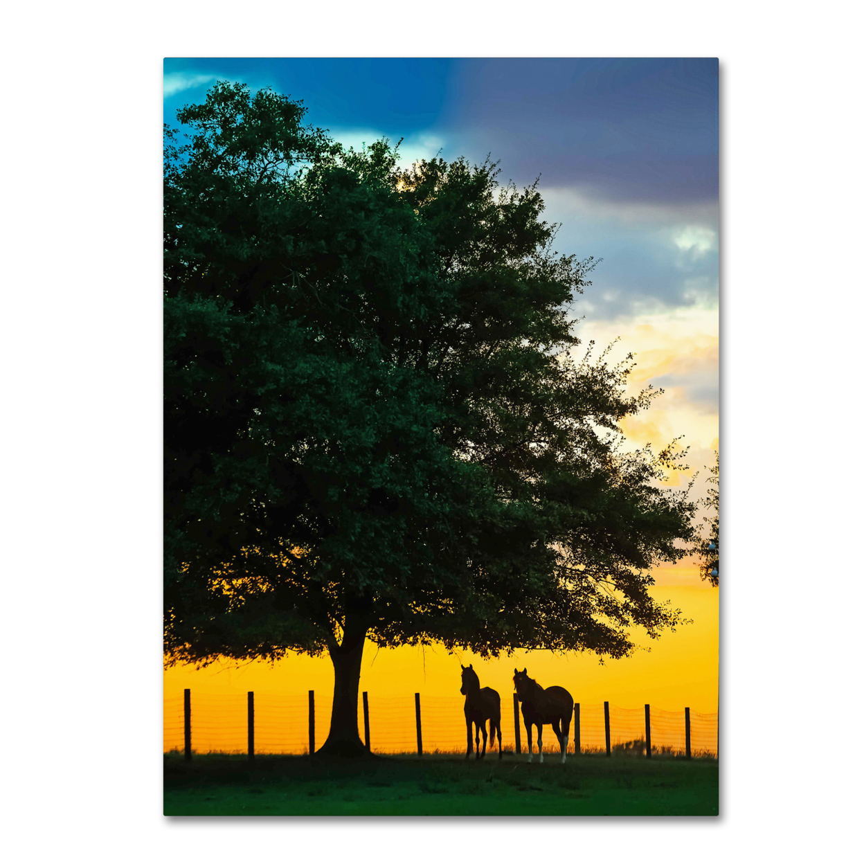 Preston 'Horse Sunset' Canvas Art 18 X 24