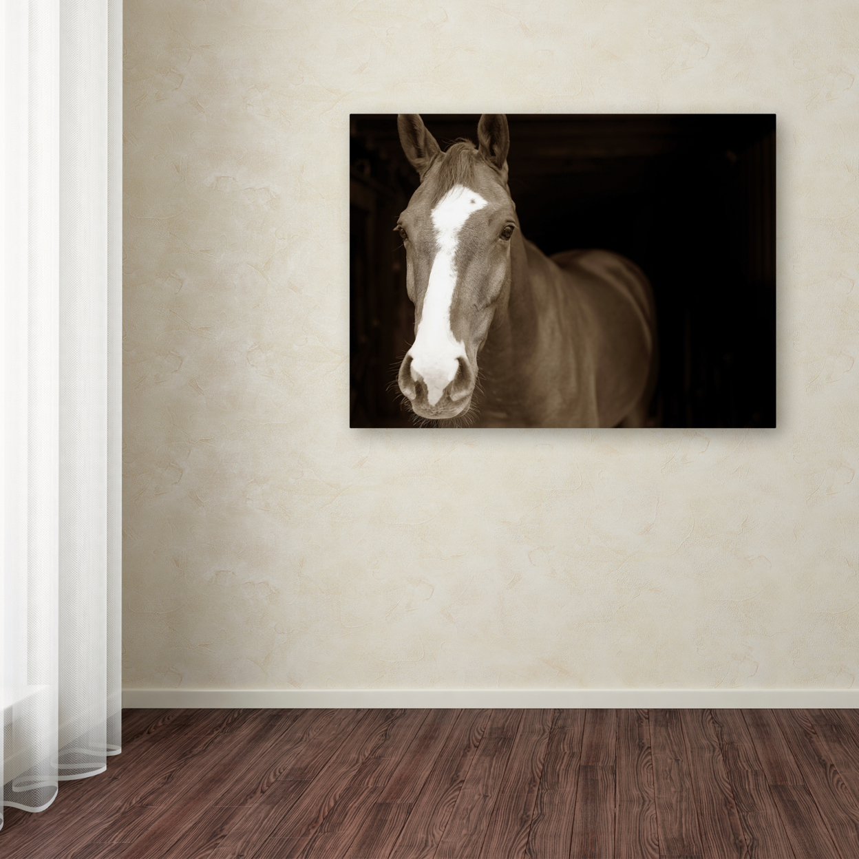 Preston 'Horse Portrait' Canvas Art 18 X 24