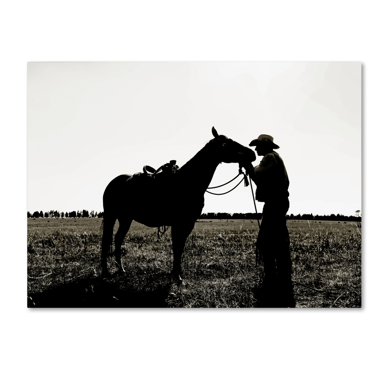 Preston 'Montana Horse Rancher Shadow 2' Canvas Art 18 X 24