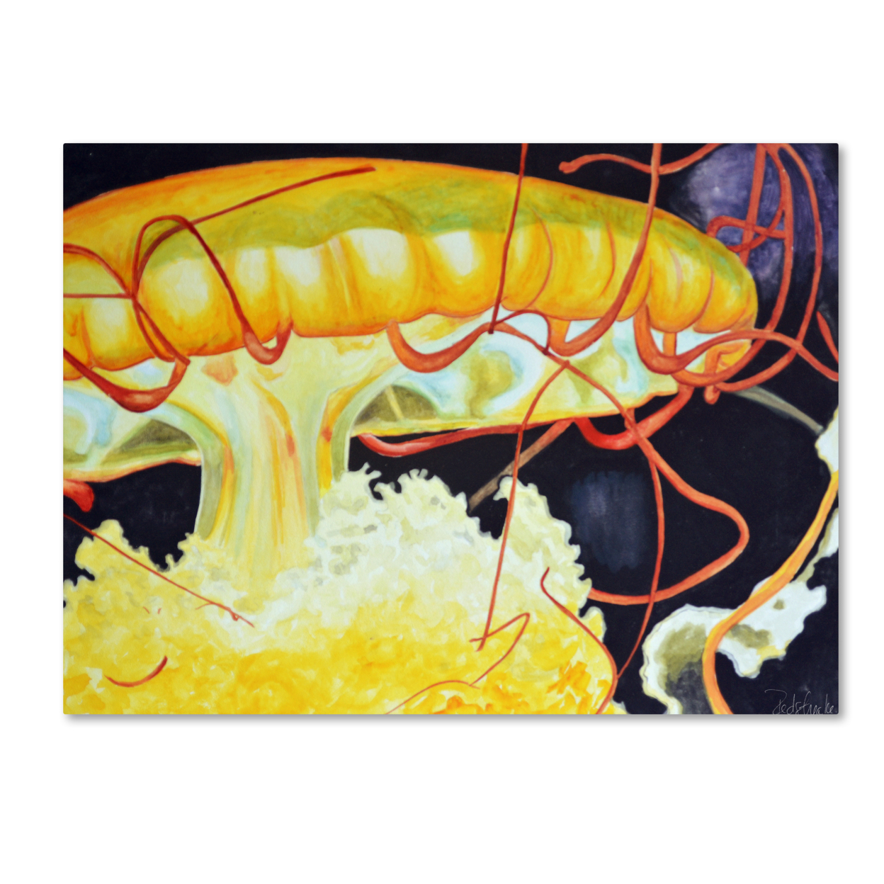 Jennifer Redstreake 'Chattanooga Jelly Fish' Canvas Art 18 X 24