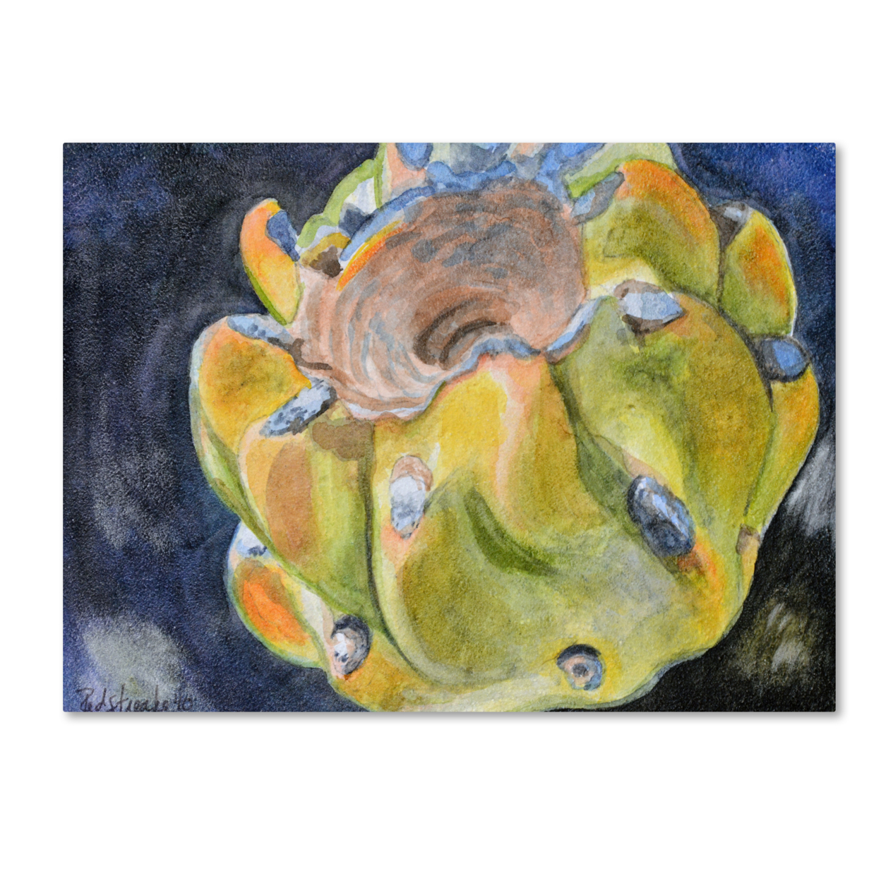 Jennifer Redstreake 'Cactus Fruit' Canvas Art 18 X 24