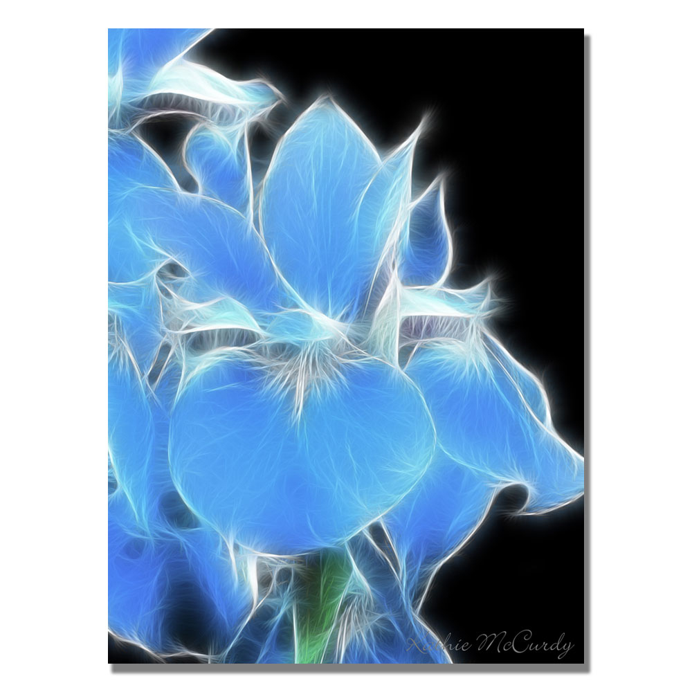 Kathie McCurdy 'Big Blue Iris' Canvas Art 18 X 24