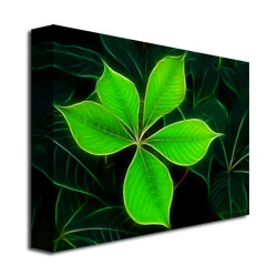 Kathie McCurdy 'Big Green Leaf' Canvas Art 18 X 24