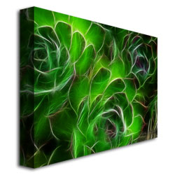 Kathie McCurdy 'Hens And Chicks' Canvas Art 18 X 24