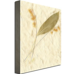 Kathie McCurdy 'Lily Of The Valley' Canvas Art 18 X 24