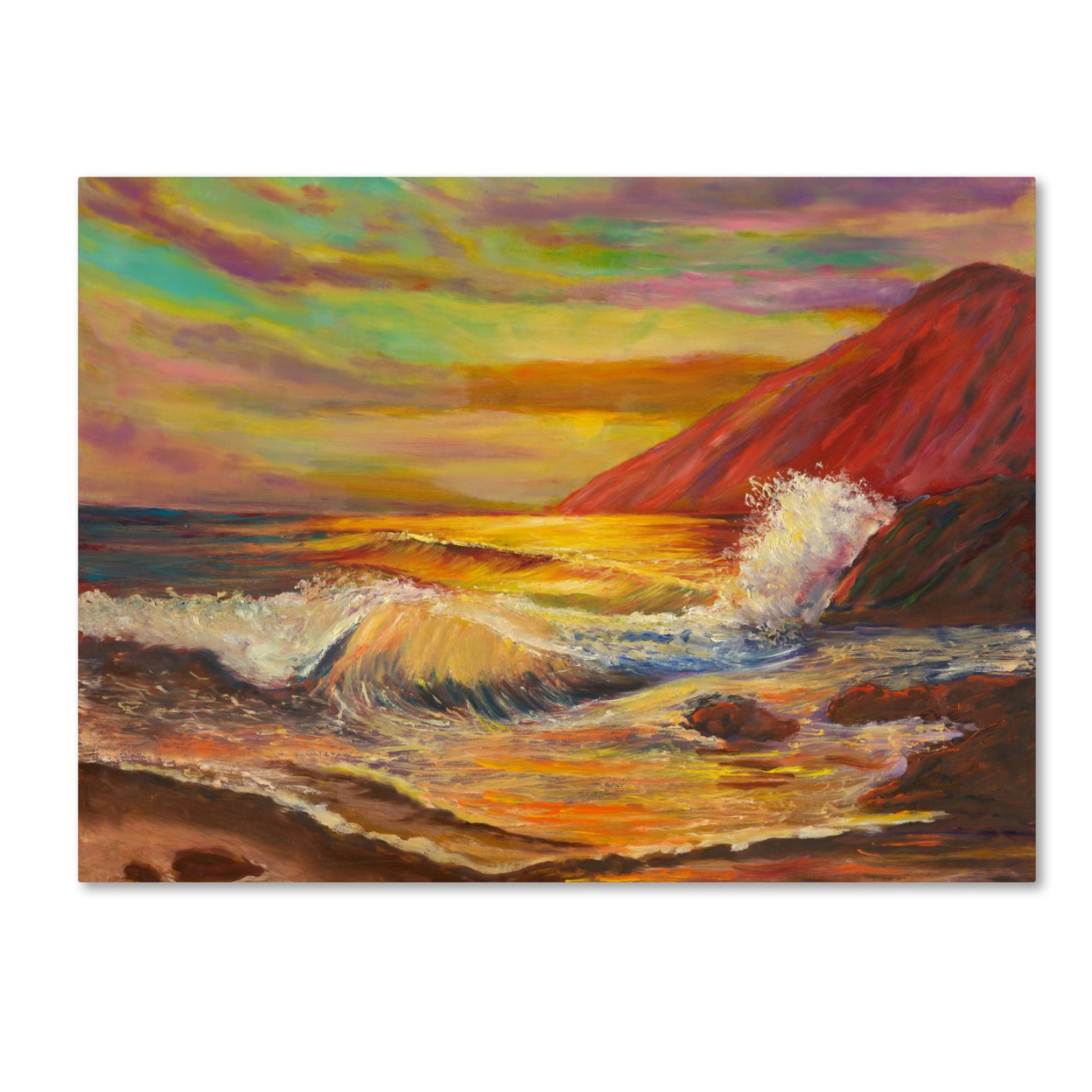 Manor Shadian 'Ka'ena Coast Sunset' Canvas Art 18 X 24