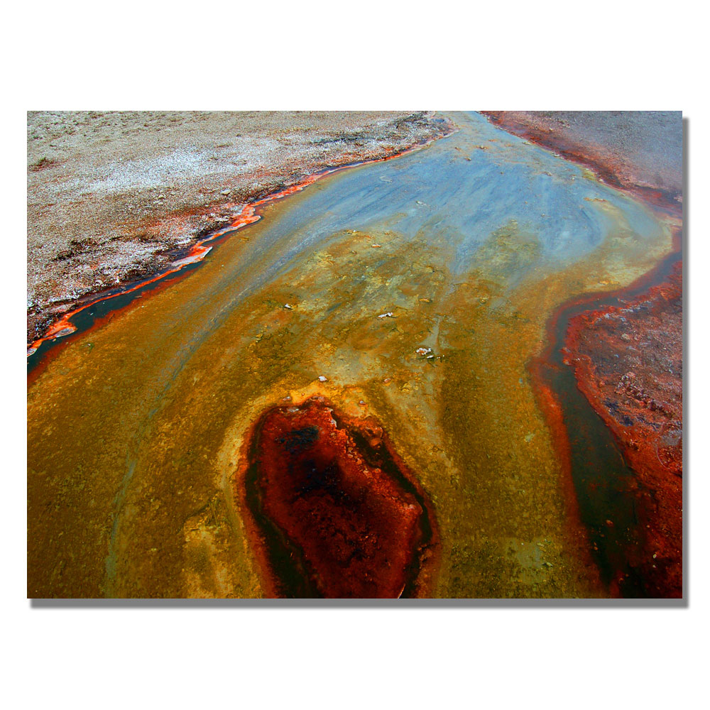 Nicole Dietz 'Yellowstone Rusty Geyser' Canvas Art 18 X 24