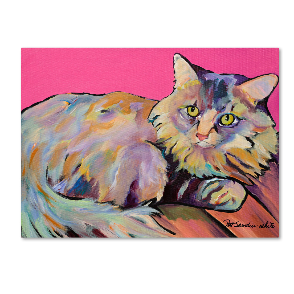 Pat Saunders 'Catatonic' Canvas Art 18 X 24