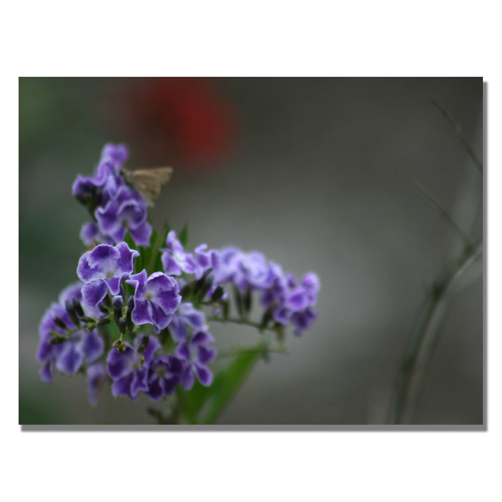 Patty Tuggle 'Purple Flowers & Moth' Canvas Art 18 X 24