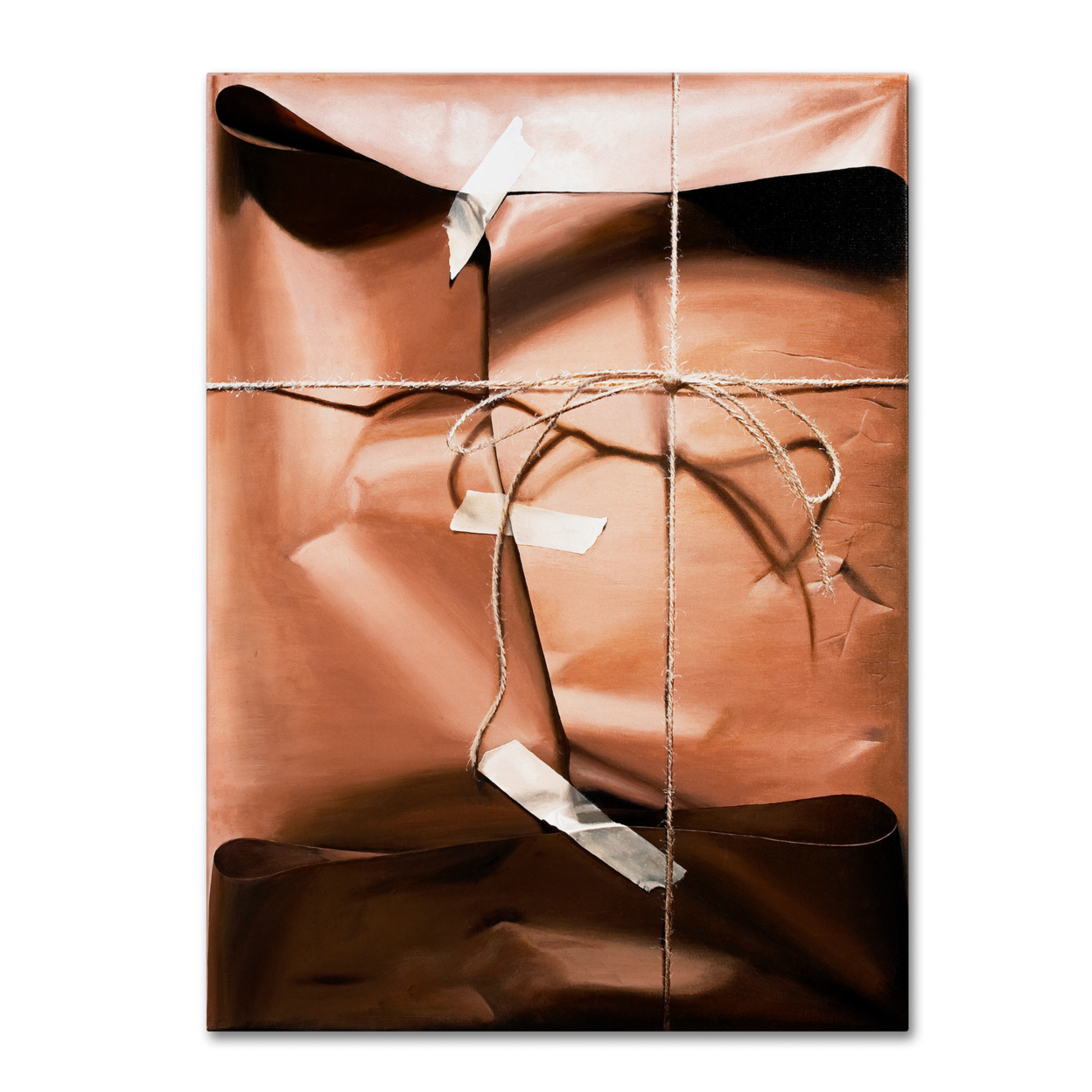 Roderick Stevens 'Wrap' Canvas Art 18 X 24
