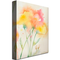 Sheila Golden 'Garden Poppies' Canvas Art 18 X 24