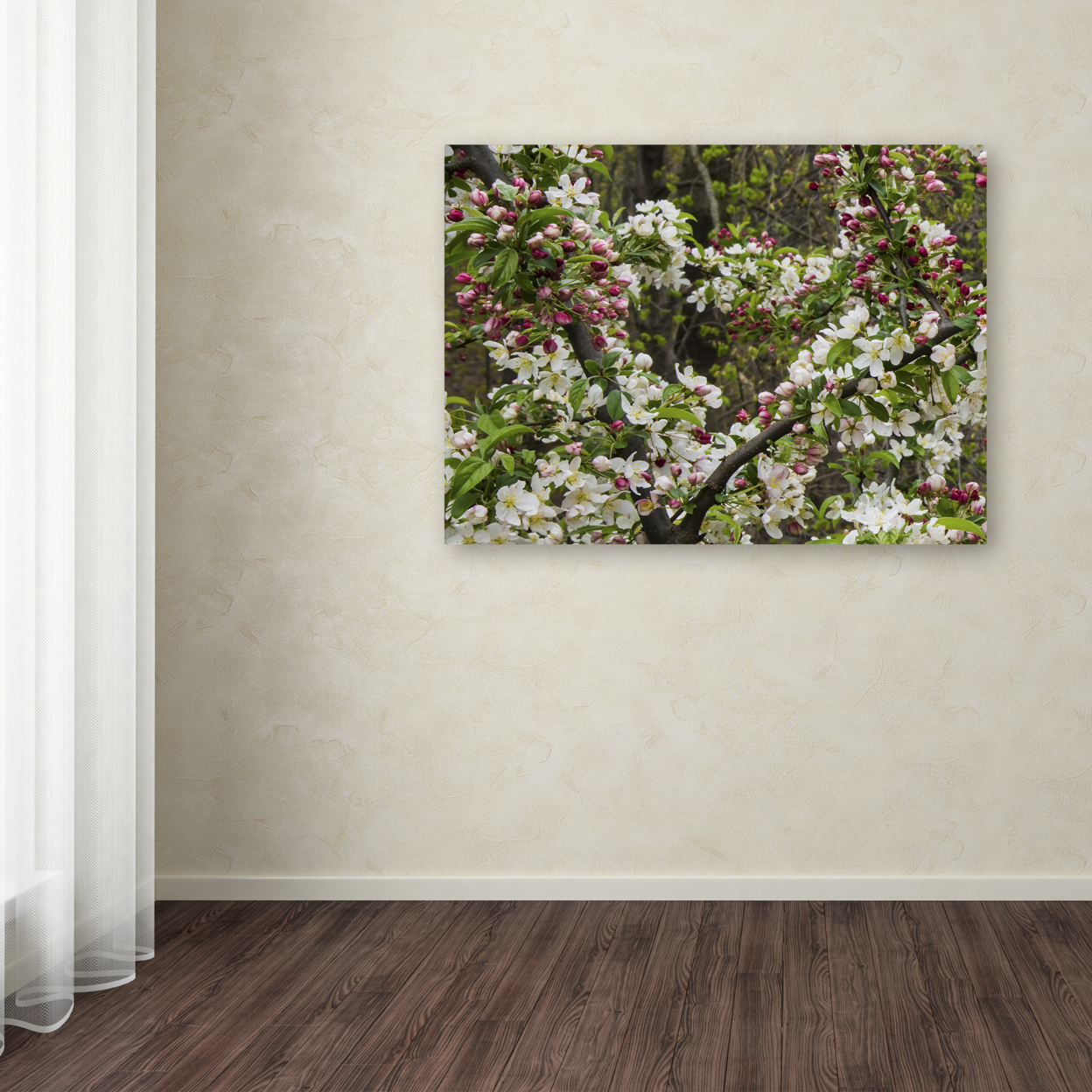 Kurt Shaffer 'Apple Blossoms II' 14 X 19 Canvas Art