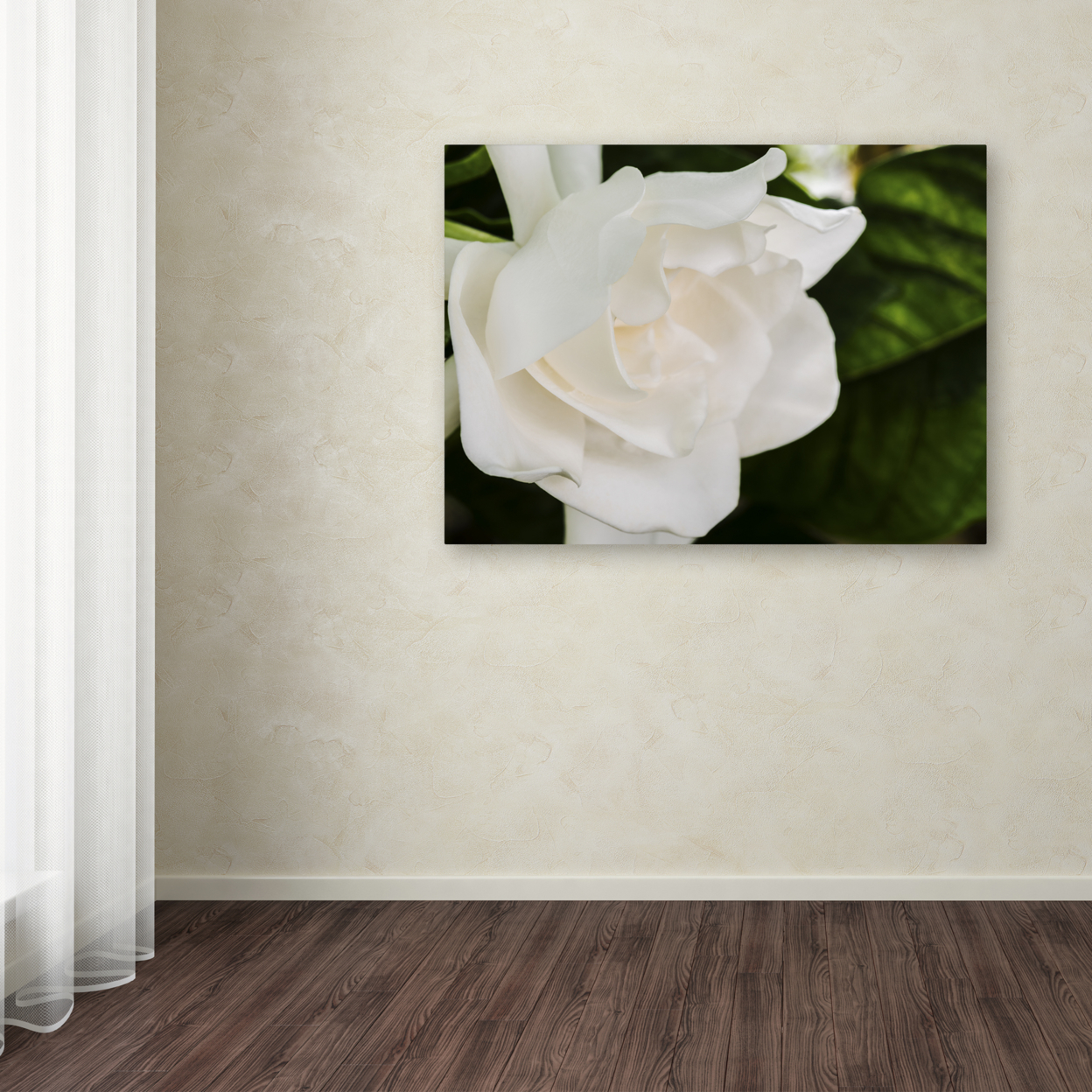Kurt Shaffer 'Gardenia' 14 X 19 Canvas Art