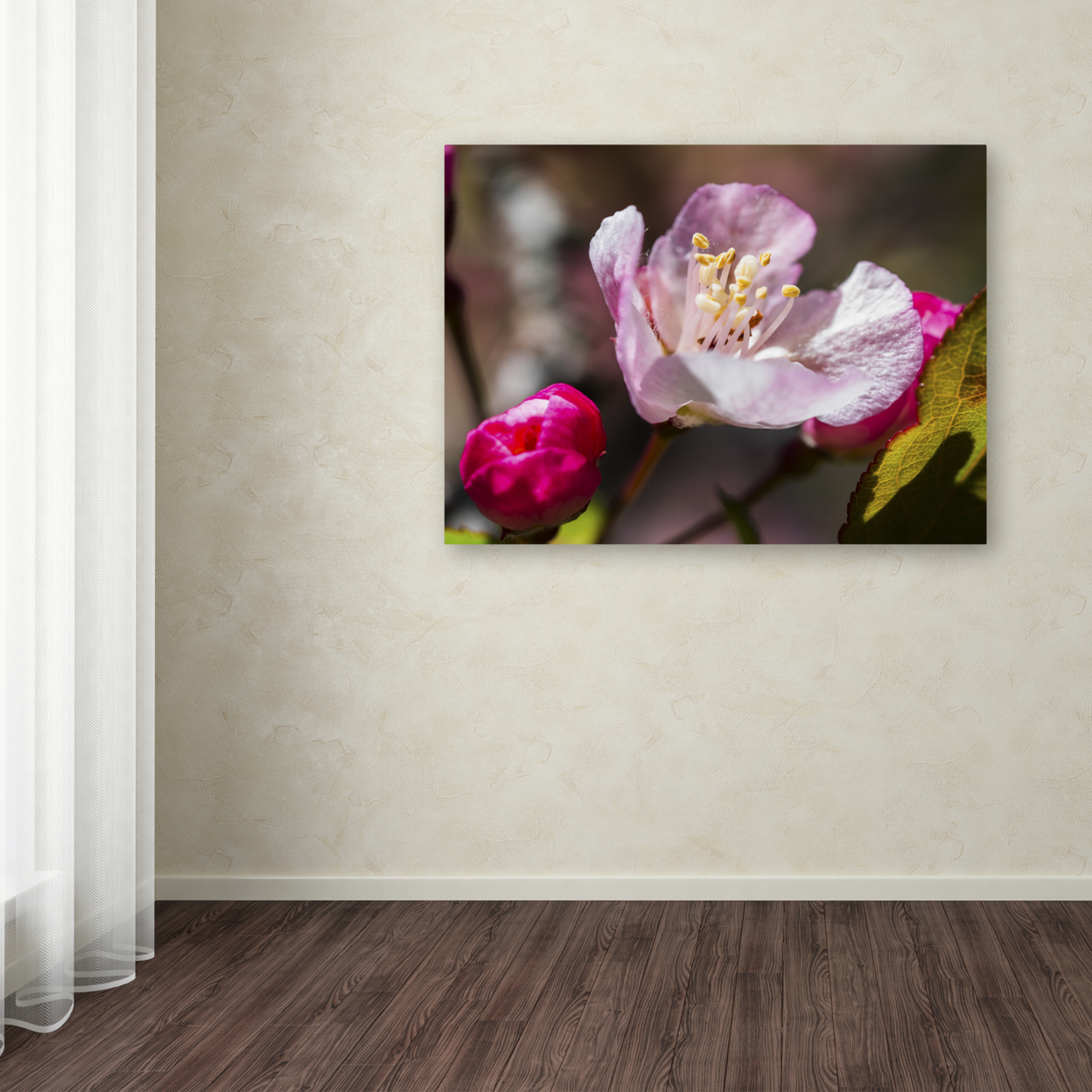 Kurt Shaffer 'Spring Pink Blossom' 14 X 19 Canvas Art