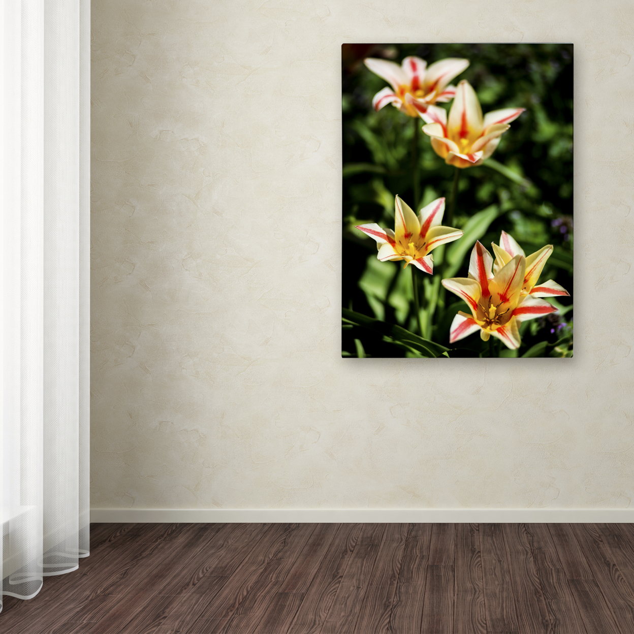 Kurt Shaffer 'Tremont Tulips' 14 X 19 Canvas Art