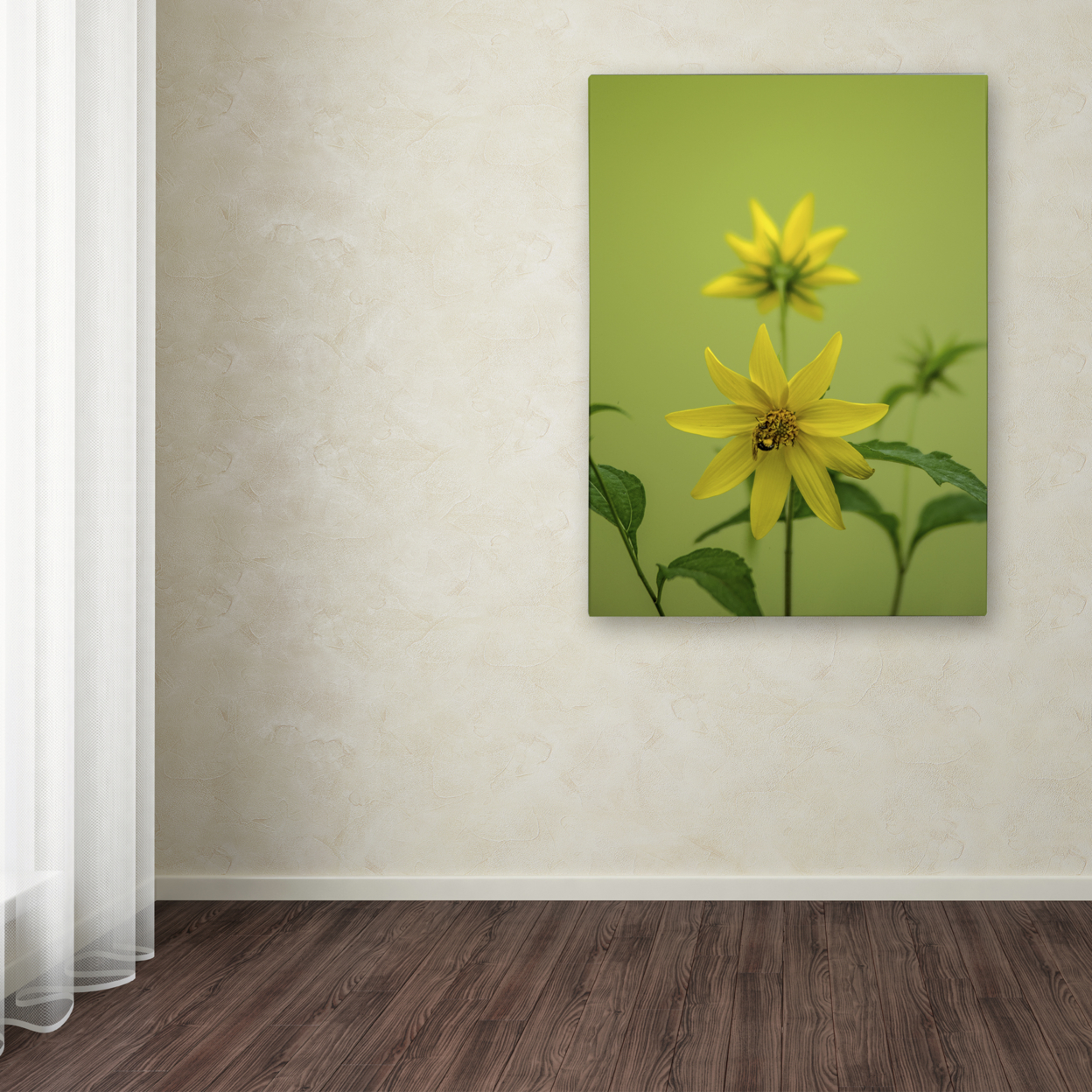 Kurt Shaffer 'Bumblebee Yellow Daisy' 14 X 19 Canvas Art