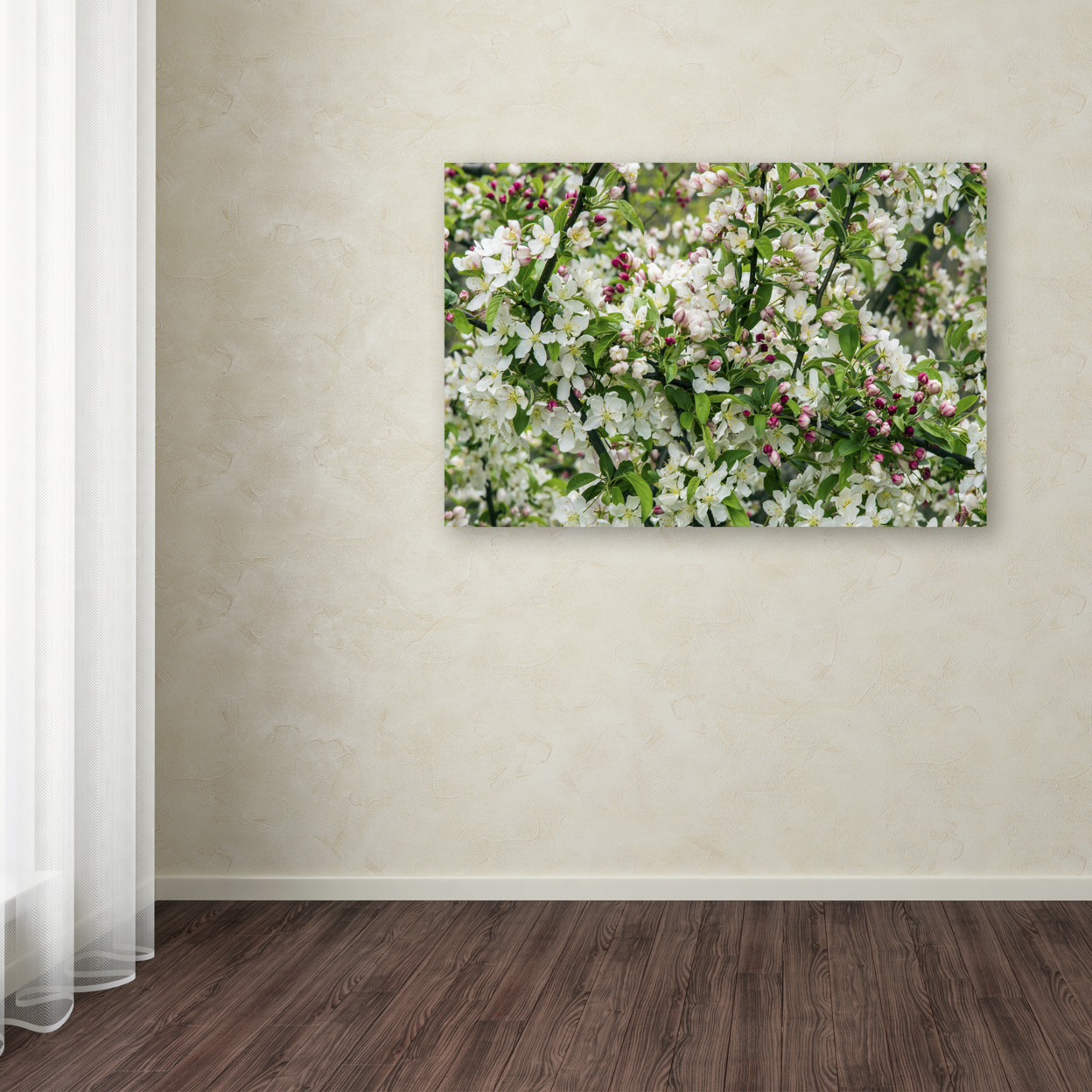 Kurt Shaffer 'Apple Blossoms' Canvas Art 16 X 24
