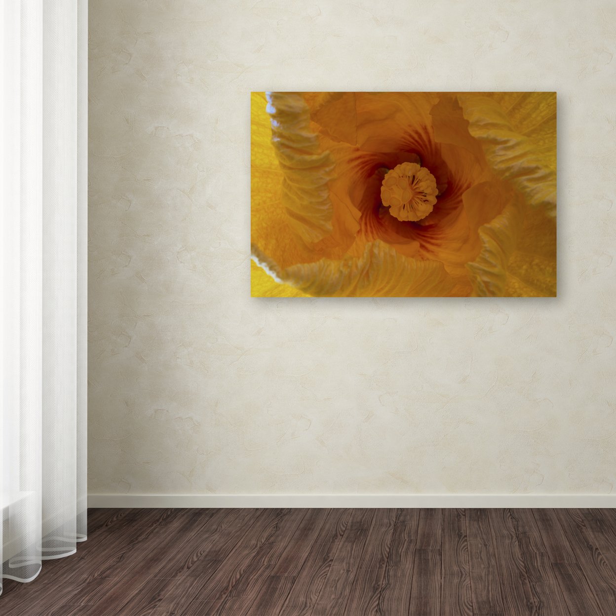 Kurt Shaffer 'Inside A Hibiscus Flower' Canvas Art 16 X 24