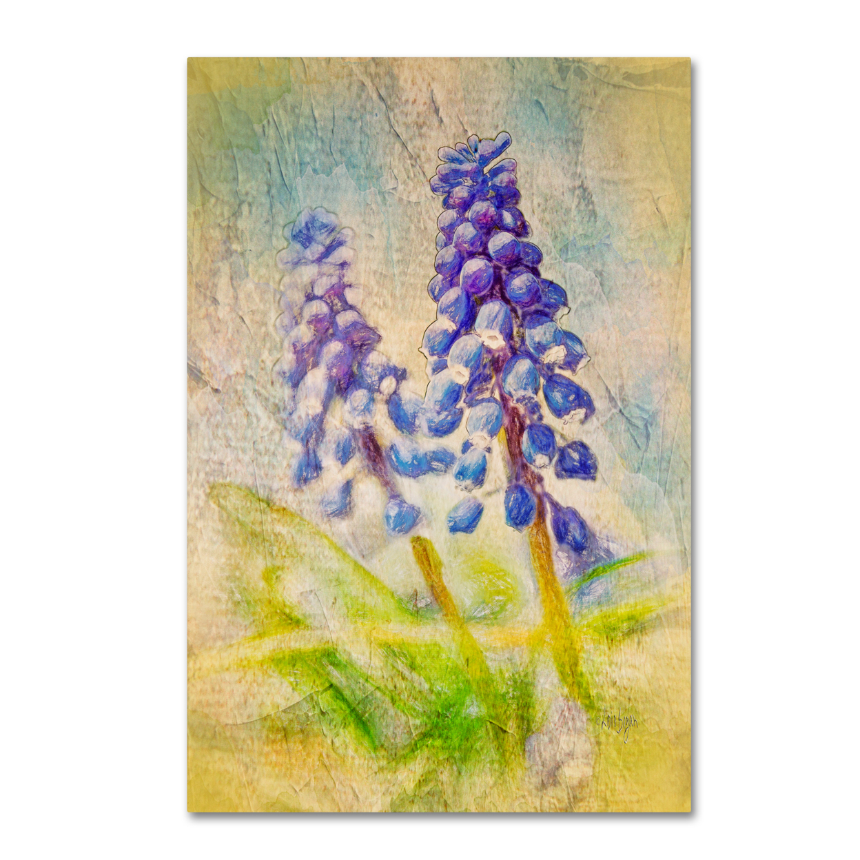 Lois Bryan 'Nostalgic Grape Hyacinth' Canvas Art 16 X 24