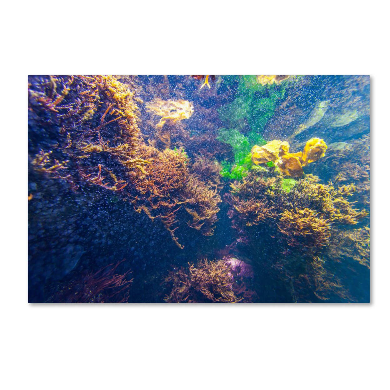 Yale Gurney 'Underwater Abstract' Canvas Art 16 X 24