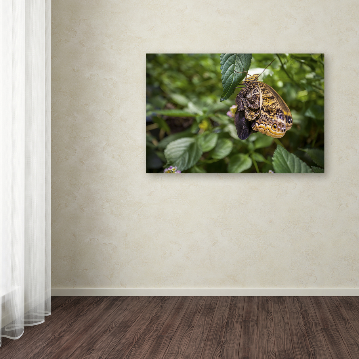 Yale Gurney 'Yellow And Grey Butterfly' Canvas Art 16 X 24
