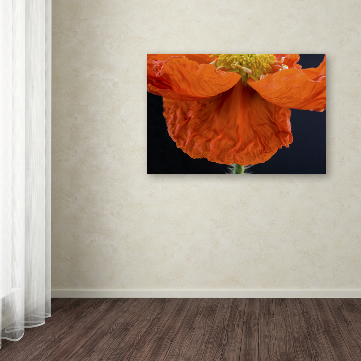 Kurt Shaffer 'Poppy Petals' Canvas Art 16 X 24