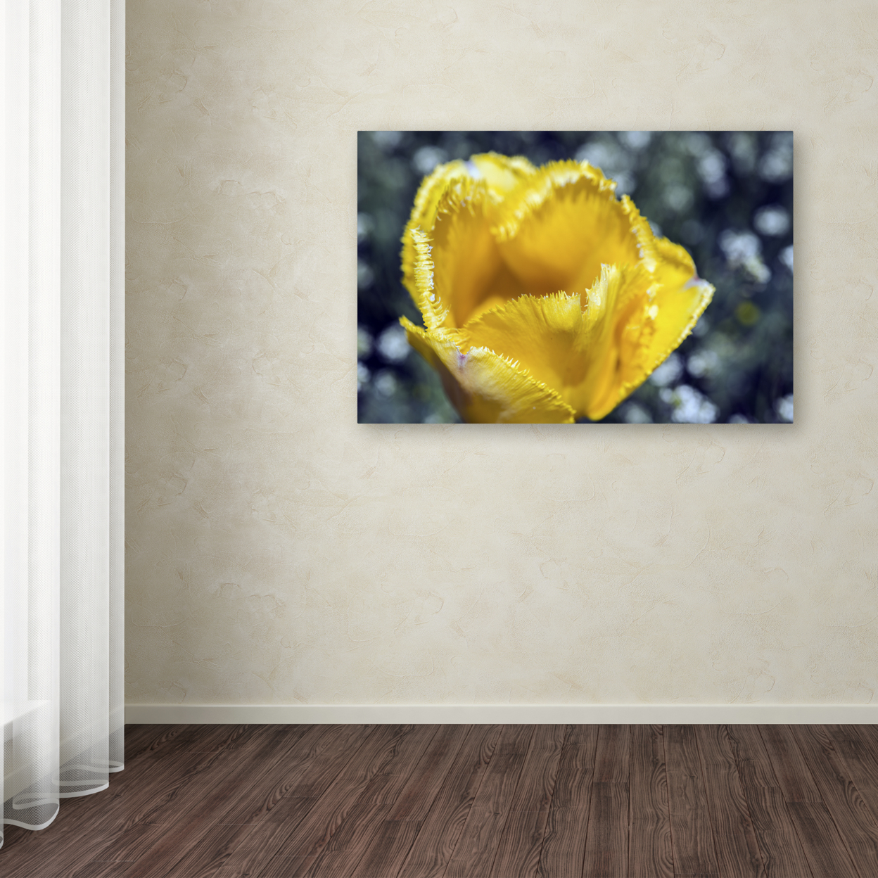Kurt Shaffer 'Yellow Fringed Tulip II' Canvas Art 16 X 24