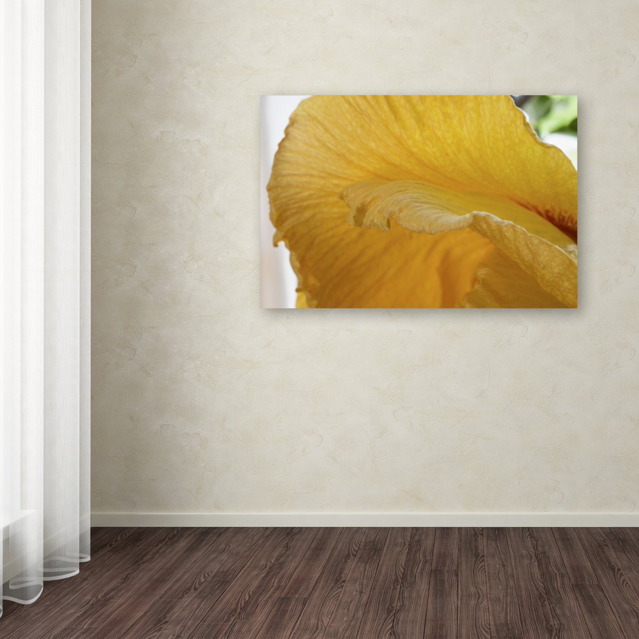 Kurt Shaffer 'Yellow Hibiscus Study I' Canvas Art 16 X 24
