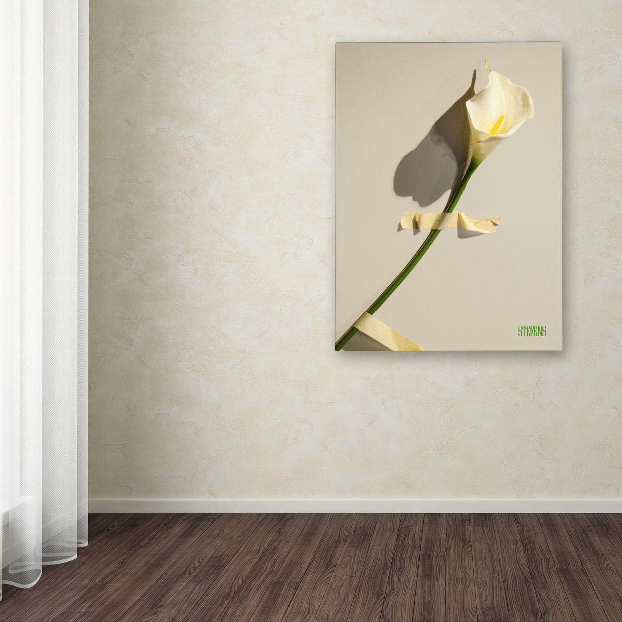 Roderick Stevens 'Lily' Canvas Art