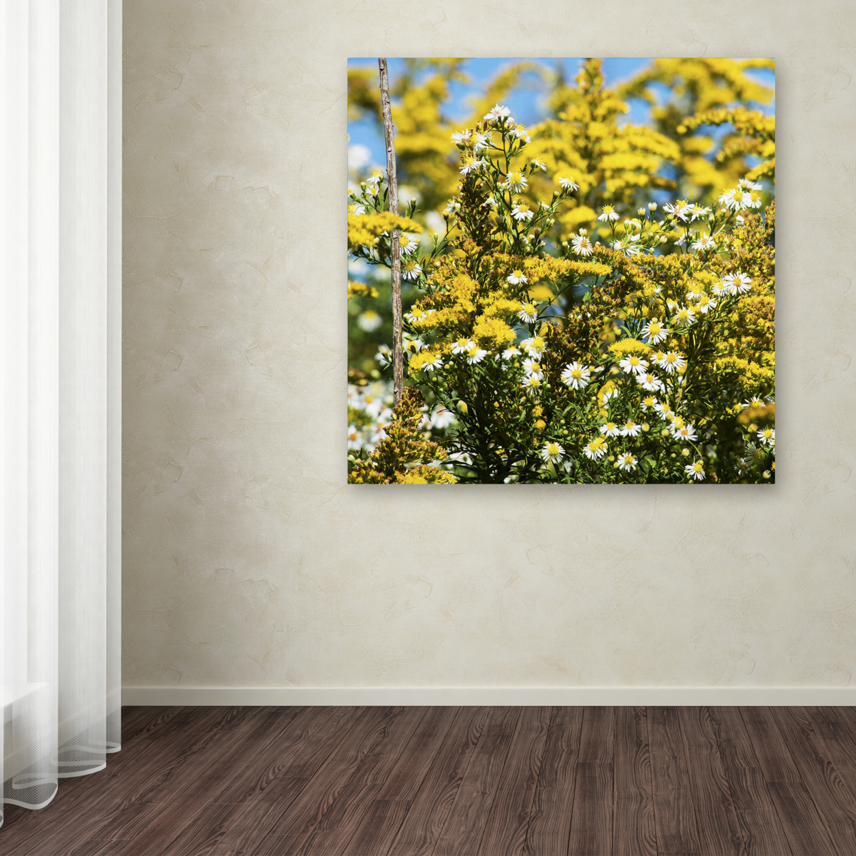 Kurt Shaffer 'Sunny Meadow' Large Canvas Art 35 X 35