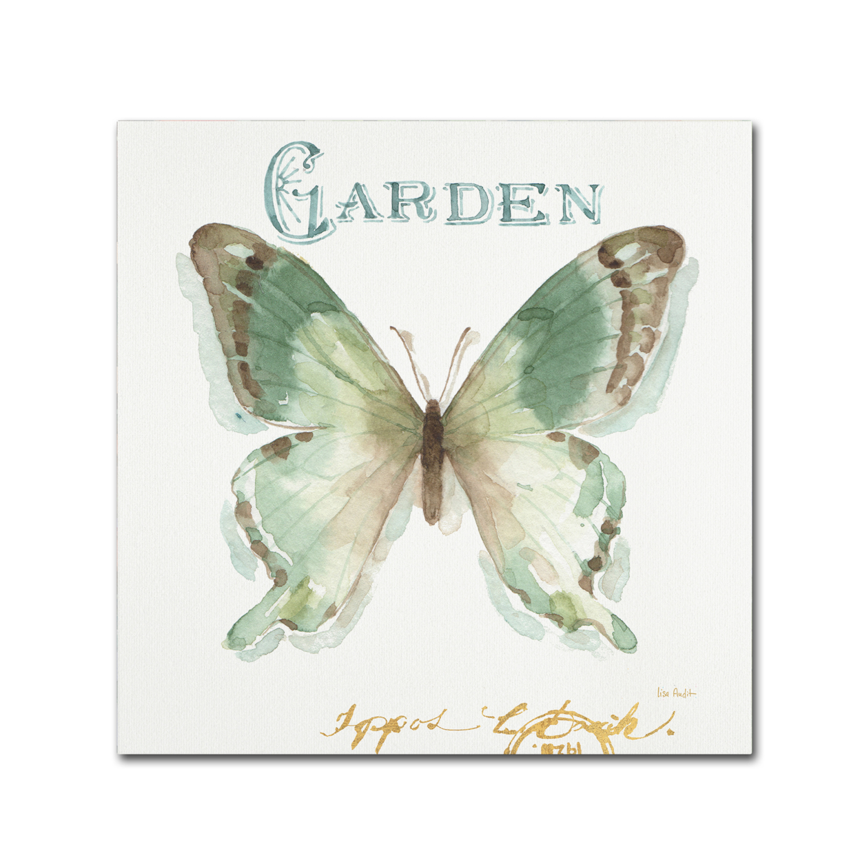 Lisa Audit 'My Greenhouse Butterflies III' Large Canvas Art 35 X 35