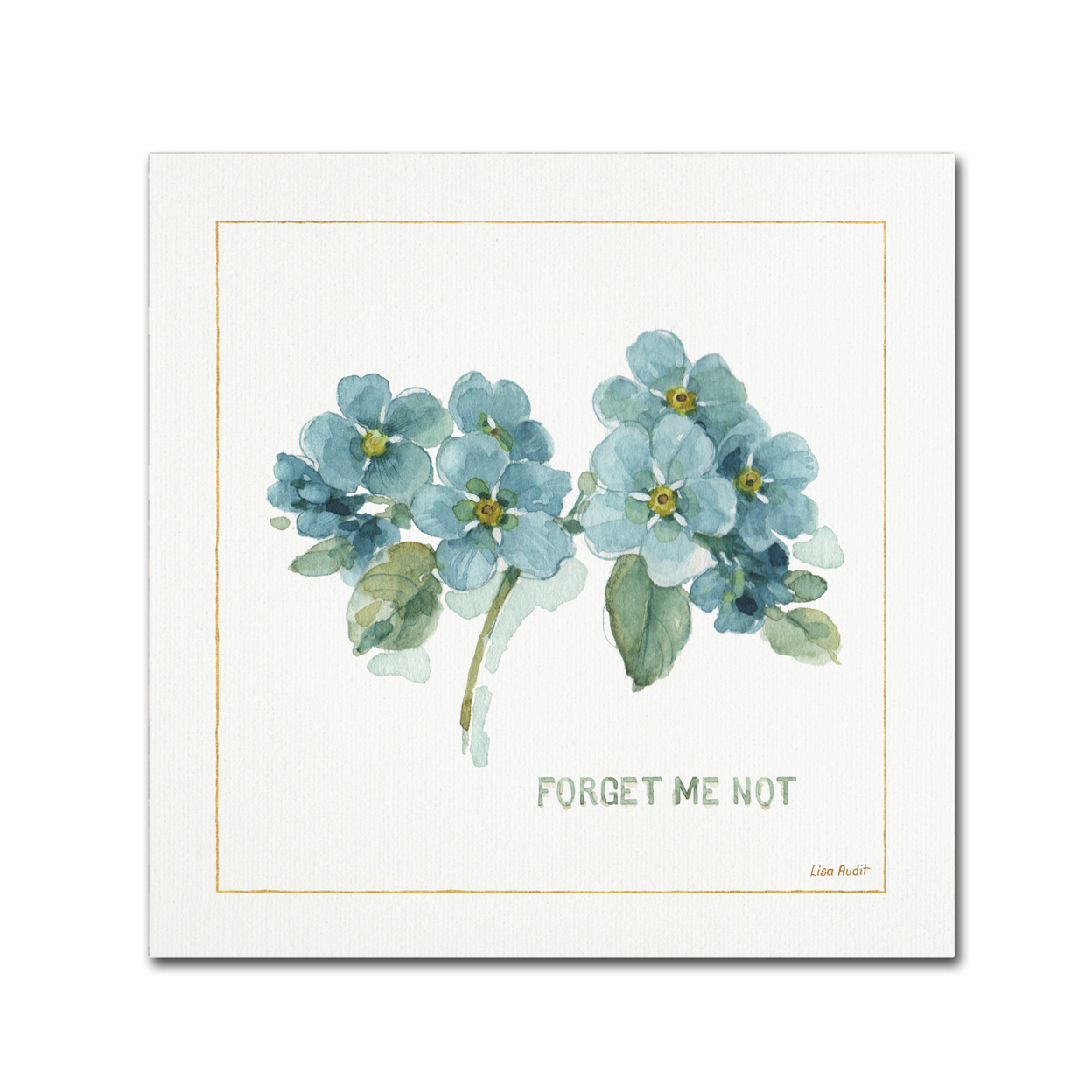 Lisa Audit 'My Greenhouse Forget Me Not' Large Canvas Art 35 X 35