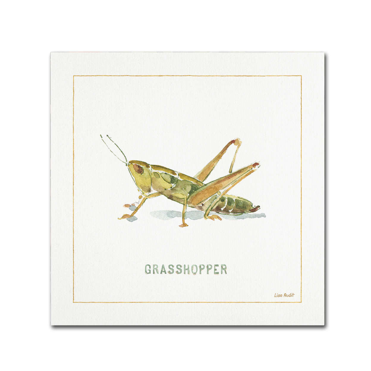 Lisa Audit 'My Greenhouse Grasshopper' Large Canvas Art 35 X 35