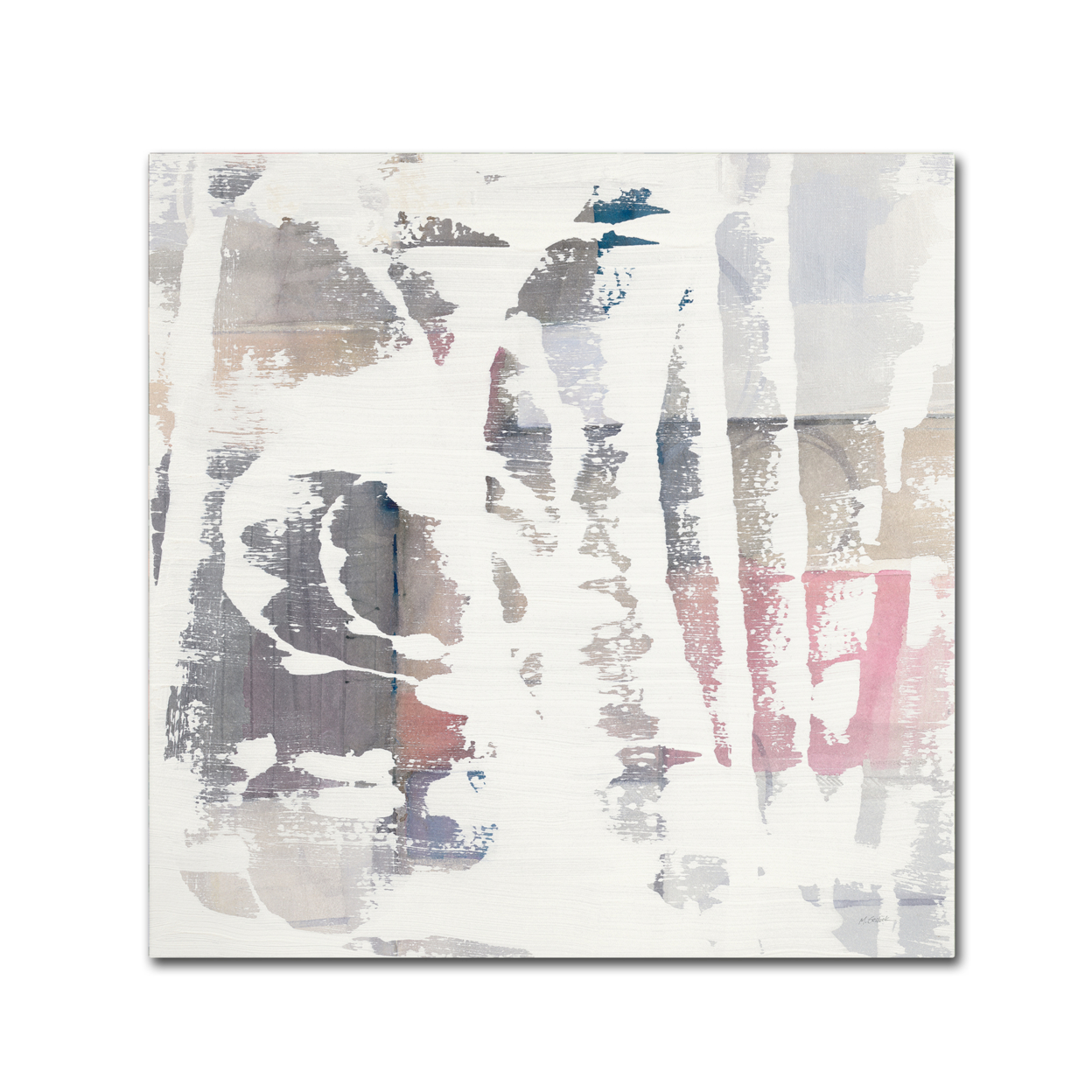 Mike Schick 'White Out Crop' Large Canvas Art 35 X 35