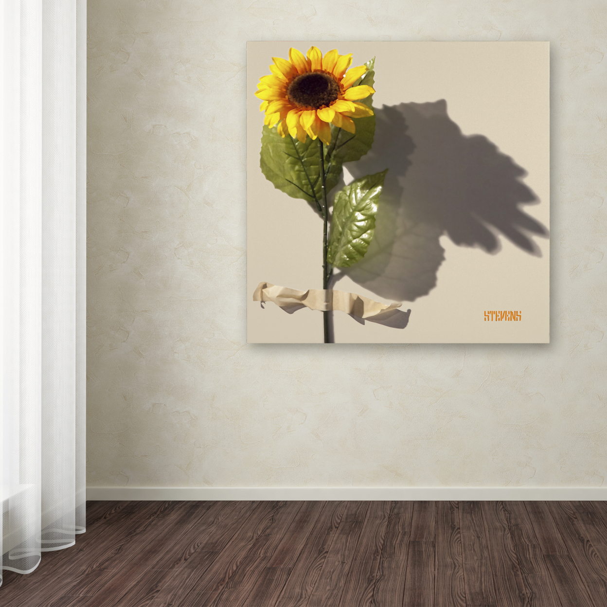 Roderick Stevens 'Sunflower' Large Canvas Art 35 X 35