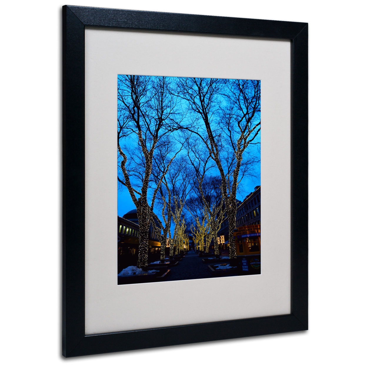 CATeyes 'Boston 2' Black Wooden Framed Art 18 X 22 Inches