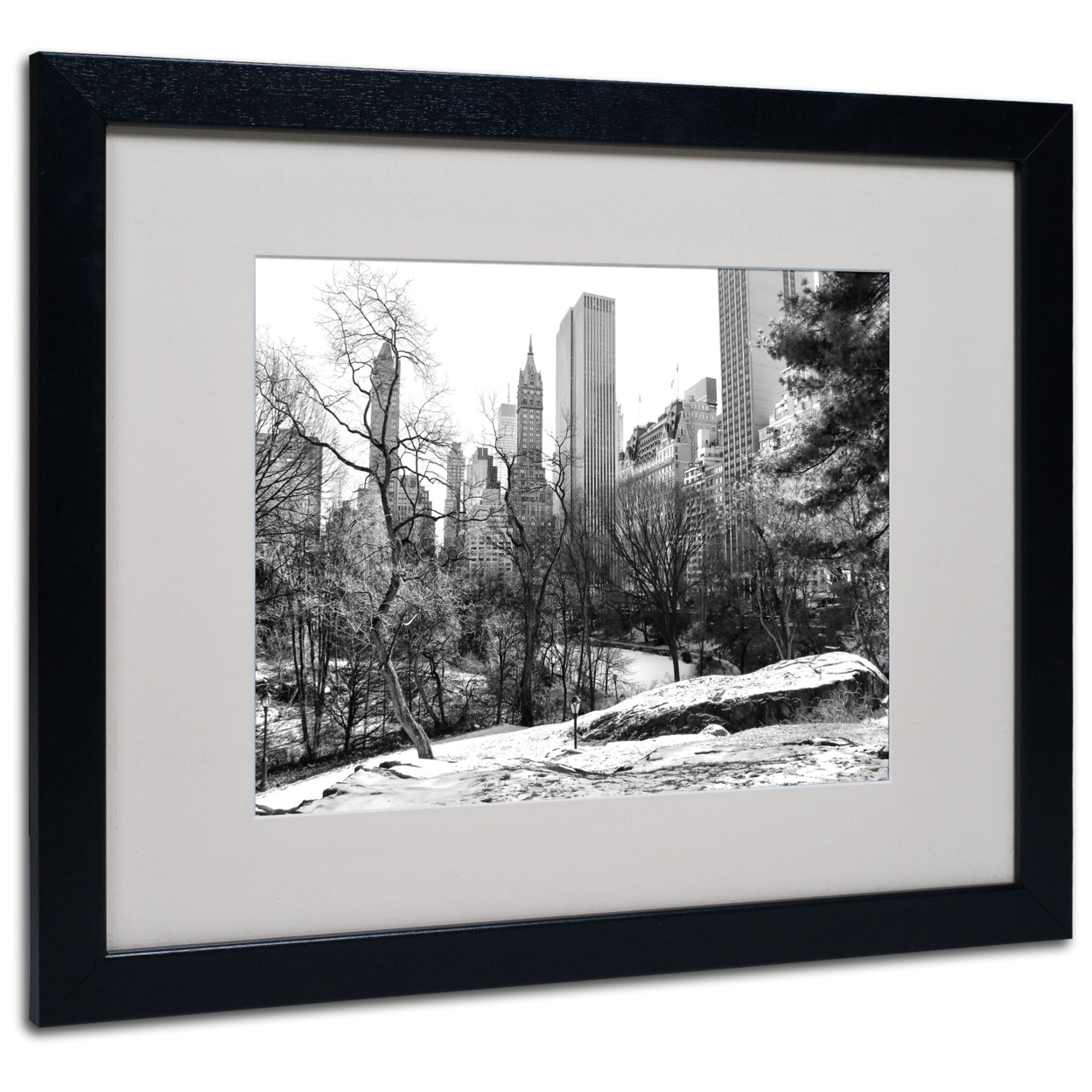 CATeyes 'Central Park' Black Wooden Framed Art 18 X 22 Inches