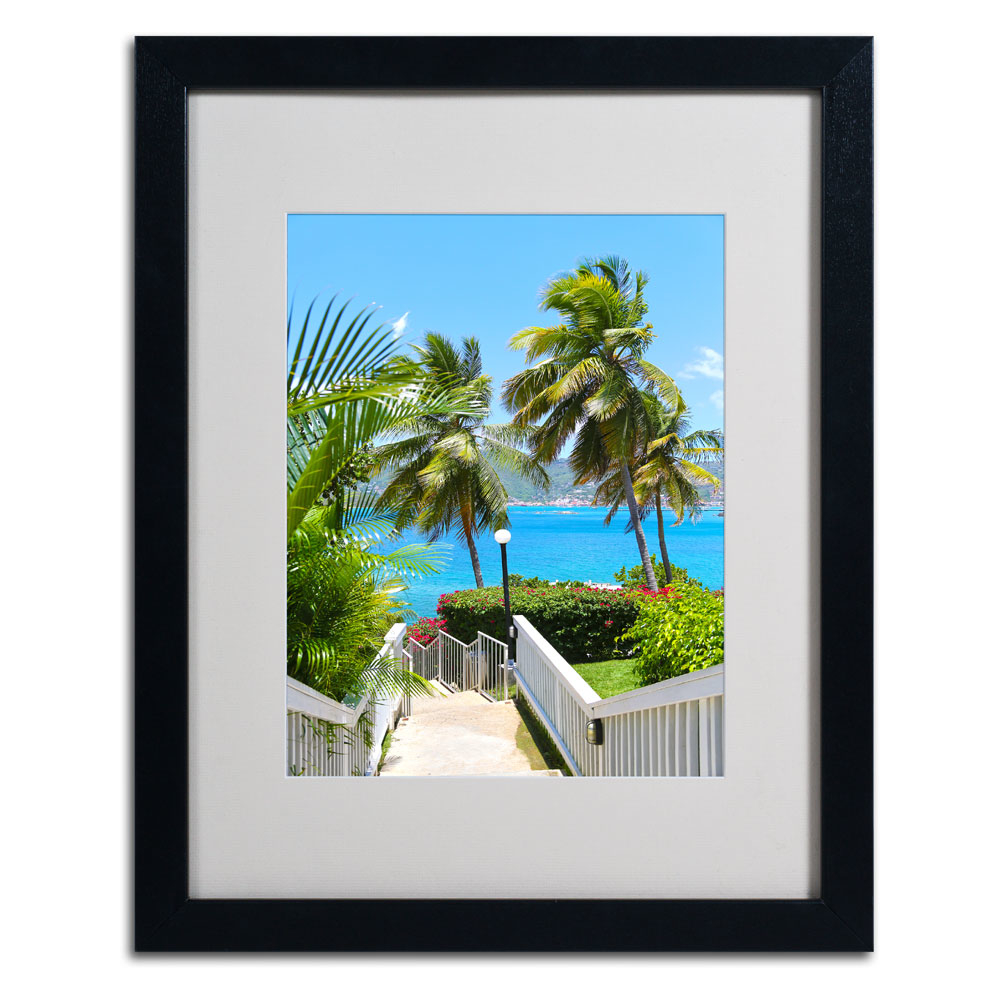 CATeyes 'Virgin Islands 3' Black Wooden Framed Art 18 X 22 Inches